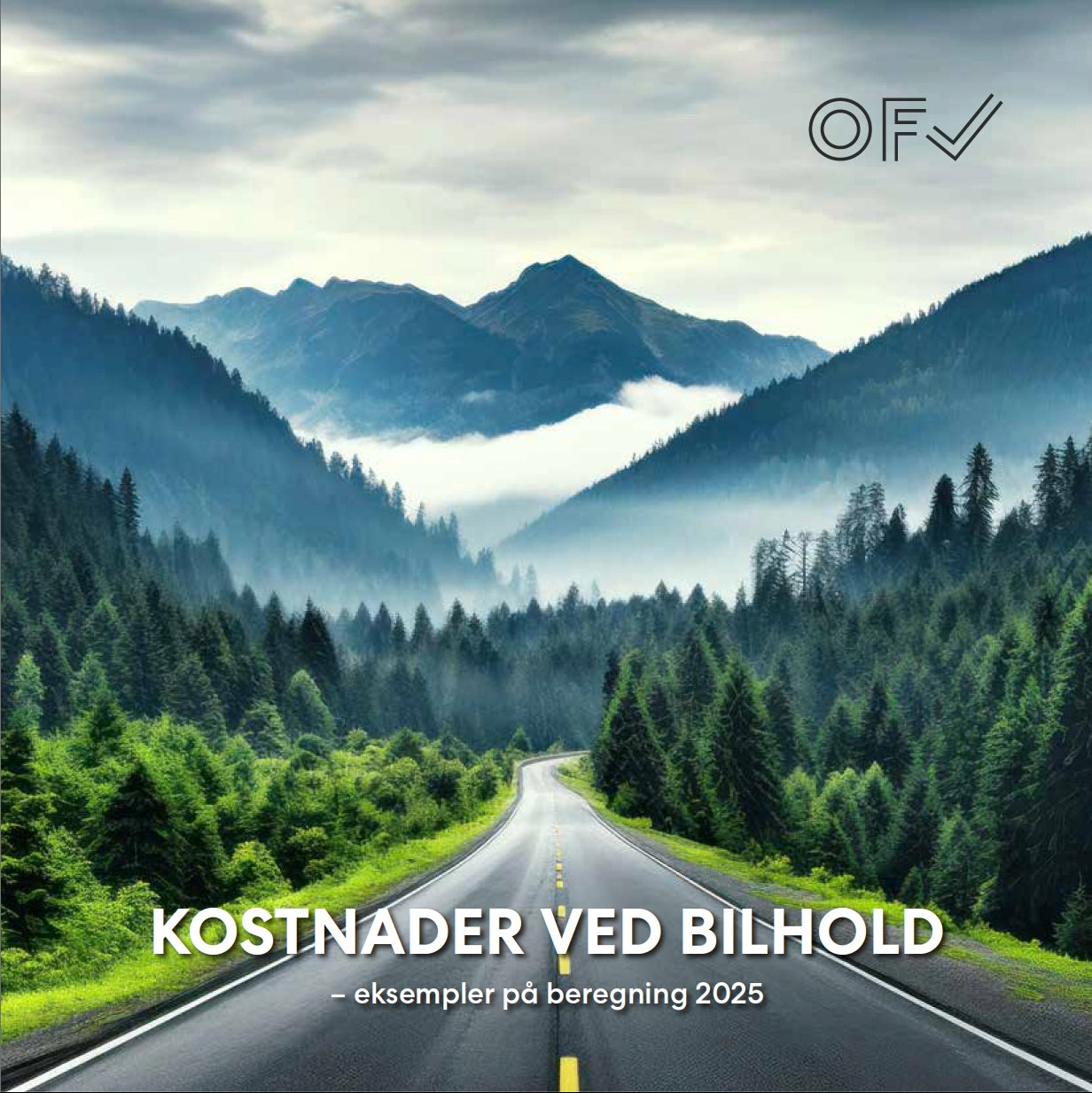 Kostnader ved bilhold - 2025