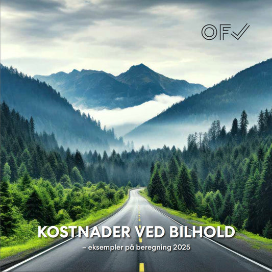 Kostnader ved bilhold - 2025